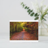 Carte Postale Paths en Nature (Debout devant)