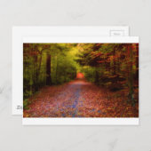 Carte Postale Paths en Nature (Devant / Derrière)