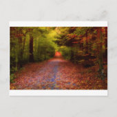 Carte Postale Paths en Nature (Devant)