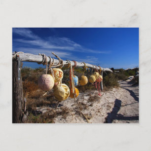 Carte Postale Pathway to the Beach - Dongara - Western Australia