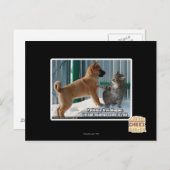 Carte Postale Patience, sauterelle. (Devant / Derrière)