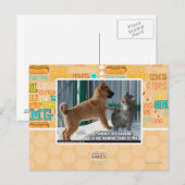 Carte Postale Patience, sauterelle. (Devant / Derrière)