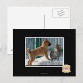 Carte Postale Patience, sauterelle. (Devant / Derrière)