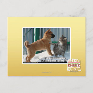 Carte Postale Patience, sauterelle.