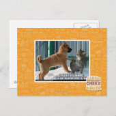 Carte Postale Patience, sauterelle. (Devant / Derrière)