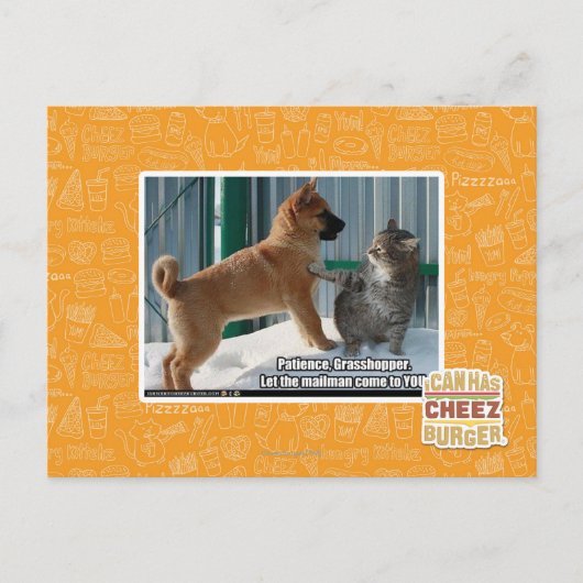 Carte Postale Patience, sauterelle. (Devant)