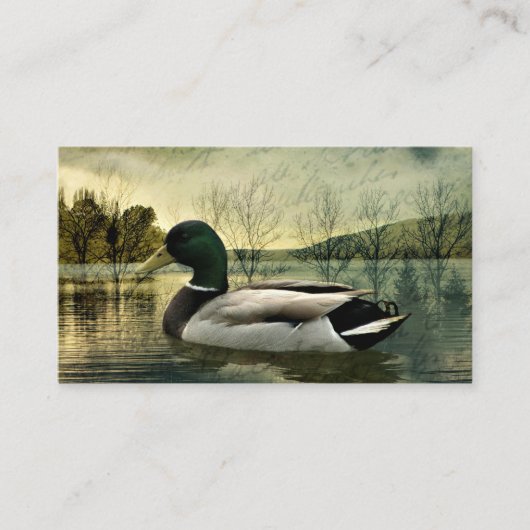 Carte postale Patinée vintage Mallard Duck (Devant)