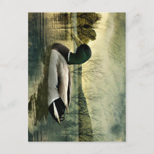 Carte postale Patinée vintage Mallard Duck