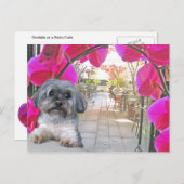 Carte postale Patio Cafe (Devant / Derrière)