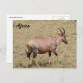 Carte Postale patrie (Devant / Derrière)