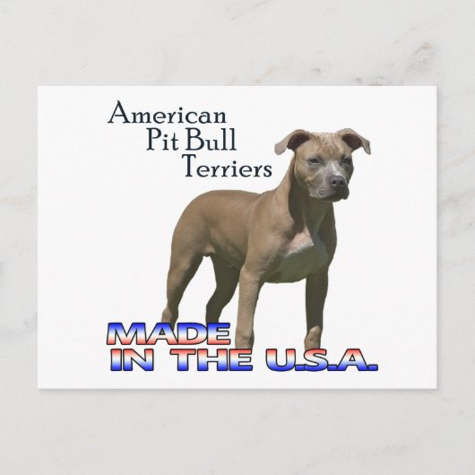 Carte postale Patriot American Pit Bull Terrier (A (Devant)