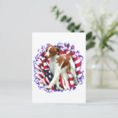 Carte Postale Patriote breton (Debout devant)