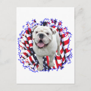 Carte Postale Patriote Bulldog