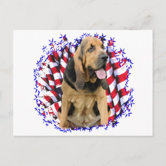 Carte Postale Patriote de Bloodhound (Devant)