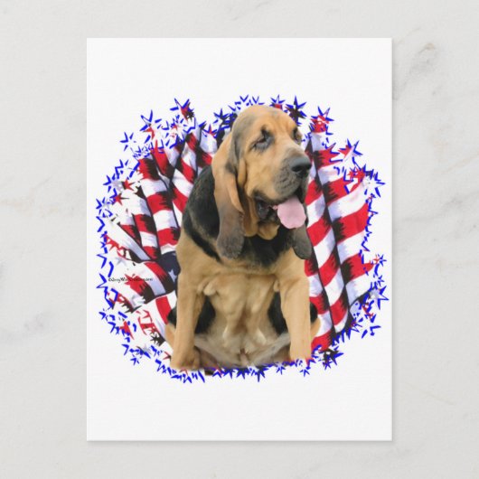 Carte Postale Patriote de Bloodhound (Devant)
