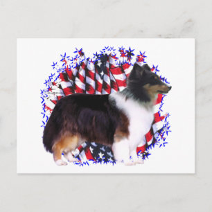 Carte Postale Patriote Shetland Sheepdog