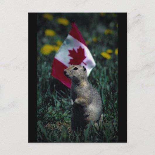 Carte Postale Patriotique (Devant)