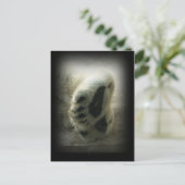 Carte postale Patrouilles Ours Polaires (Debout devant)