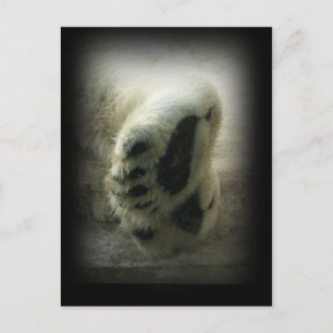 Carte postale Patrouilles Ours Polaires