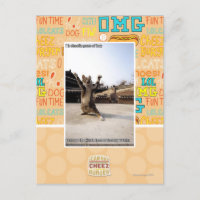 Pattes de shaolin de l'iz I de fureur