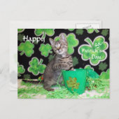 Carte Postale Patton's St. Patrick's Day Postcard - Chat / Kitte (Devant / Derrière)