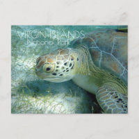 Pâturage de la tortue verte, PNP des Îles Vierges