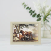 Carte Postale Paulus Potter, "Young Bull" 1647 (Debout devant)