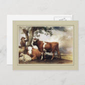 Carte Postale Paulus Potter, "Young Bull" 1647 (Devant / Derrière)