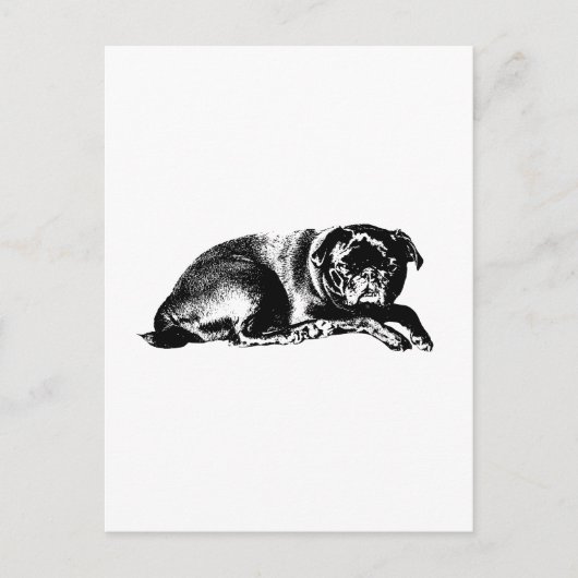 Carte Postale Pause Graphique, Bonne Nouvelle (Devant)