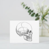 Carte Postale Pauvre crâne de Yorick (Debout devant)