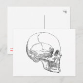 Carte Postale Pauvre crâne de Yorick (Devant / Derrière)