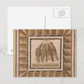 Carte Postale Pavement représentant cinq brosses, de El-Jem (Devant / Derrière)