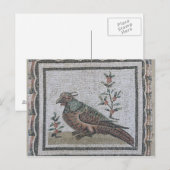 Carte Postale Pavement représentant un faisan (Devant / Derrière)