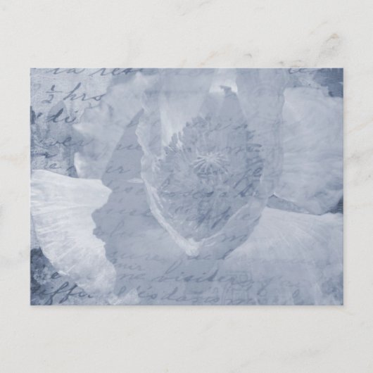 Carte Postale Pavot 2 (Devant)