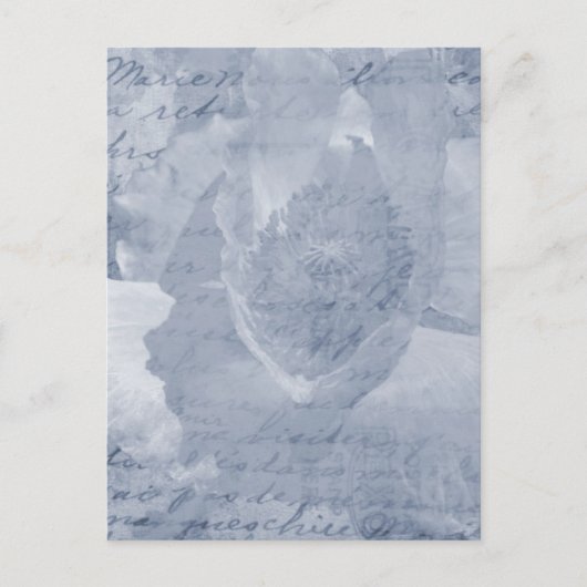 Carte Postale Pavot 2 (Devant)