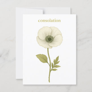 Carte Postale Pavot (blanc) — Consolation