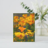 Carte Postale Pavot caché (Debout devant)