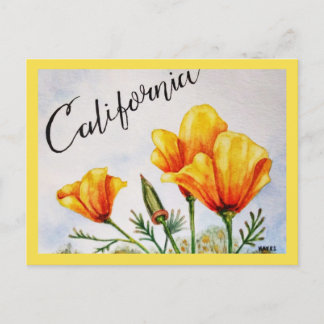 Carte Postale Pavot de Californie