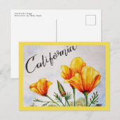 Carte Postale Pavot de Californie (Devant / Derrière)