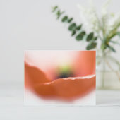 Carte Postale Pavot délicat (Debout devant)