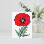 Carte Postale pavot fleurs rouges vigne vintage fleurs (Debout devant)