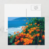 Carte Postale Pavot le long de la côte Pacifique près de Big Sur (Devant / Derrière)