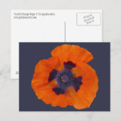 Carte Postale Pavot orange écarlate 1 (Devant / Derrière)