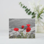 Carte Postale pavot rouge (Debout devant)