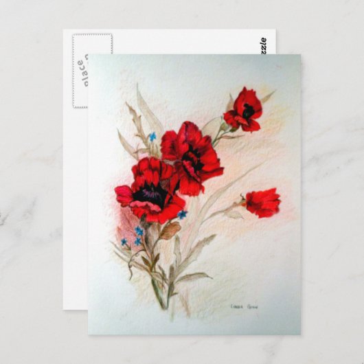 Carte Postale Pavots rouges (Devant / Derrière)