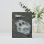 Carte Postale Paw de chat congelé (Debout devant)