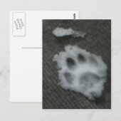 Carte Postale Paw de chat congelé (Devant / Derrière)