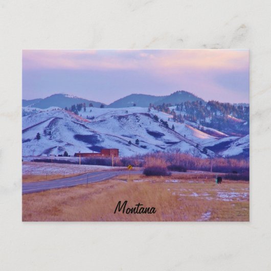 Carte Postale Paw de l'ours (Devant)