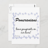 Carte Postale Pawprints Poméraniens (Devant / Derrière)