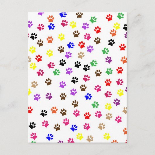 Carte postale Paws (Devant)